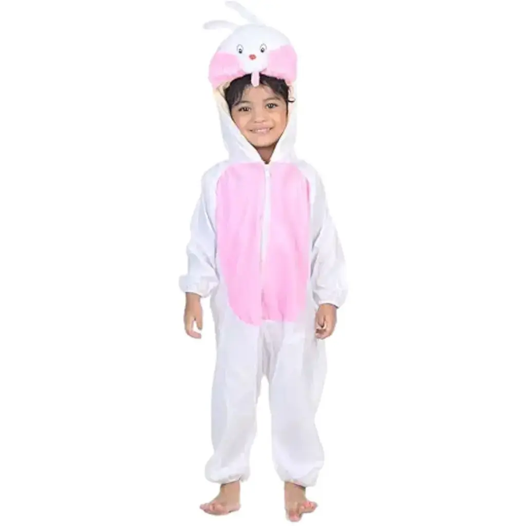 Rabbit Costume – Adorable Bunny Outfit | CostumeWala